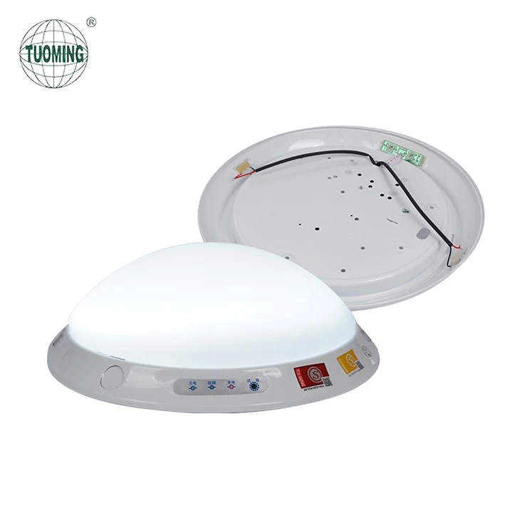 Ceiling Mount LED Emergency Lights best